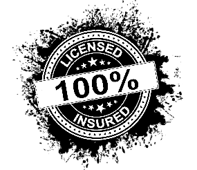 100% Licensed & Insured Graphic